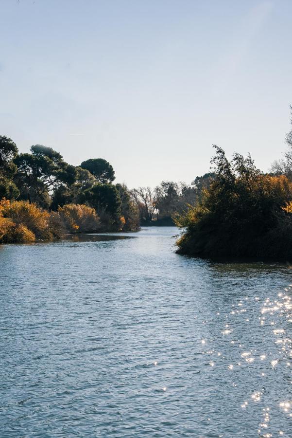 Domaine De Merins, 10 Couchages Avec Piscine, Face A La Riviere, A 4Km De La Plage เฟลอรี ภายนอก รูปภาพ